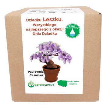 Zestaw BONSAI paulownia Dzień Dziadka Leszek