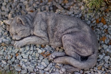 Фигурки кошек, садовые фигурки из бетона, украшения для кошек.