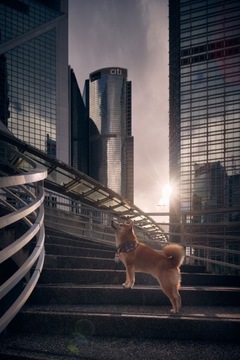 Venus Optics Laowa Magic Shift Converter LW-MSC 1.4x байонетный адаптер - Ni