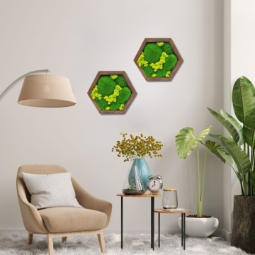 Настенное панно с натуральным мхом