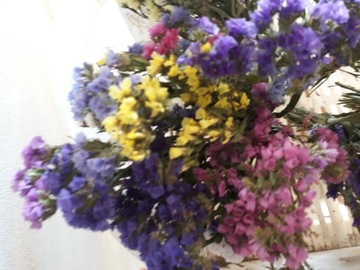 Zatrwian Букет натуральных сухоцветов