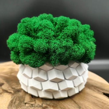 Вазон с мхом хроботек CHROBOTEK MOSS в белом горшке, 3D печать