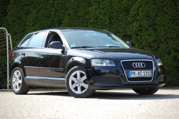 Audi A3 8P Hatchback 3d 1.6 102KM 2010 Audi A3 Lift Automat 5drzwi1.6MPI Klimatronic Alu Lato+Zima, zdjęcie 8