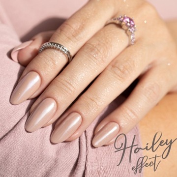 Пудра для ногтей HAILEY EFFECT для украшения SEOL