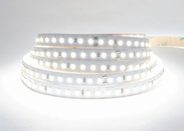 Taśma 128LED PREMIUM 5000K CRI90 12W 24V 10mm 5m
