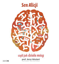 Sen Alicji czyli jak działa mózg DLA DZIECI
