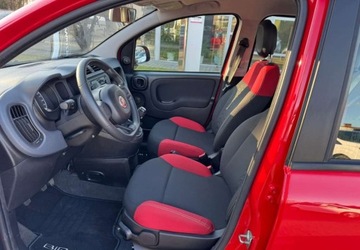 Fiat Panda III Hatchback 5d seria 3 1.2 69KM 2019 Fiat Panda Fiat Panda 1.2 StartampStop Easy 1.2 Benzyna 69KM, zdjęcie 10