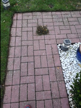 ТРИММЕР ДЛЯ УДАЛЕНИЯ МХА И СОРНЯКОВ ИЗ СУЗОВ