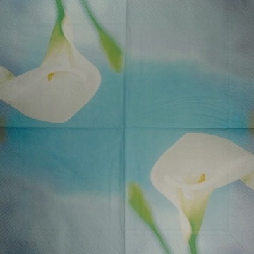 serwetka, serwetki 33x33 - 20szt - 0057 kwiaty
