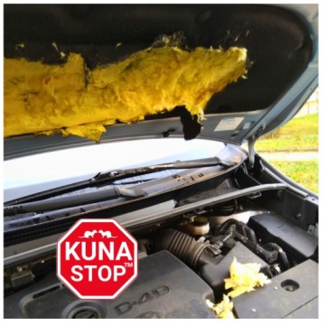 ДЛЯ КУНИЦ ЭФФЕКТИВНЫЙ ПОДВЕСНОЙ ОТПУГИВАТЕЛЬ КУНИЦ ПРОВЕРЕННОЕ СРЕДСТВО ДЛЯ АВТОМОБИЛЯ