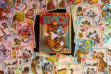 Игровой портал Spicy