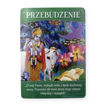 Оракул Божественного Изобилия Тоша Сильвер