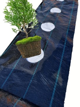 Agrotkanina duże OTWORY pod TUJE co 60cm 1,1x10m pod MALINY BORÓWKĘ KWIATY