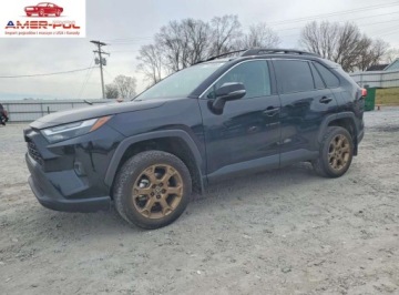 Toyota RAV4 V 2024 Toyota RAV4 Woodland Edition 2024 2.5 Hybryda 176KM