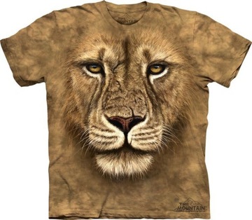 Lion Warrior - The Mountain M