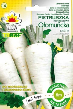 Pietruszka Ołomuńcka - Nasiona na taśme 6m