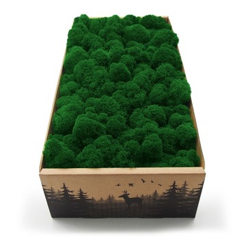 Mech chrobotek fiński 500g netto średni zielony