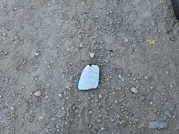 Toyota Tacoma II 2024 Toyota Tacoma 2024, 2.4L, 4x4, SR5, od ubezpieczalni, zdjęcie 10