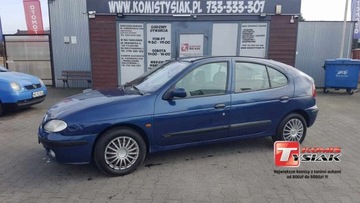 Renault Megane I Hatchback 1.4 i 16V 95KM 2001