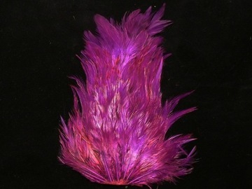 KAPKA SIODŁOWA KOGUTA KOLOR PURPLE
