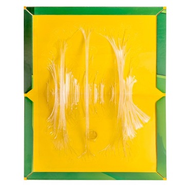 30 мышеловок для крыс с сильным клеем, сильным ароматом лапы LEP