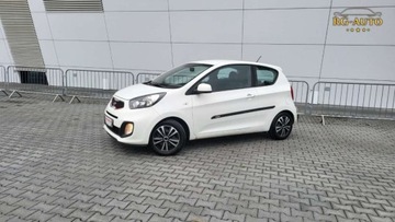 Kia Picanto II Hatchback 5d 1.0 69KM 2012 Kia Picanto 1.0B Lift Serwis Oryginal 221Tkm G..., zdjęcie 13