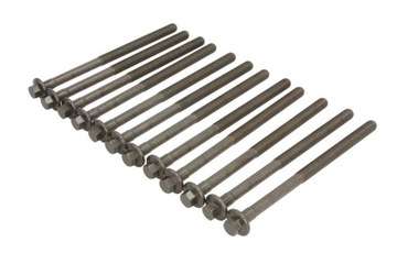 Zestaw śrub głowicy cylindrów pasuje do: VOLVO C30, C70 II, S40 II, S60 II,