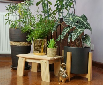 СТУЛ, МАЛЕНЬКИЙ ДЕРЕВЯННЫЙ КУХОННЫЙ СТУЛ, ПЛАТФОРМА RYCZKA