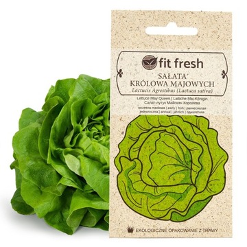 SAŁATA KRÓLOWA MAJOWYCH 2G FITFRESH WCZESNA