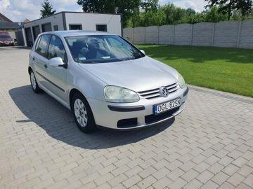 Volkswagen Golf V Hatchback 1.9 TDI 105KM 2004 Volkswagen Golf 1.9tdi 105KM 5 Drzwi Klima Raty, zdjęcie 6