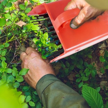 ZBIERACZKA RĘCZNA DO JAGÓD BORÓWEK OWOCÓW 15x10x9CM (Q2) Z GRZEBIENIEM