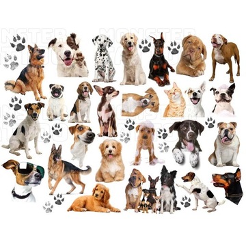 ВРЕМЕННЫЕ ТАТУ ДЛЯ ДЕТЕЙ СОБАКИ ОРИГИНАЛЬНЫЕ УЗОРЫ СОБАКИ