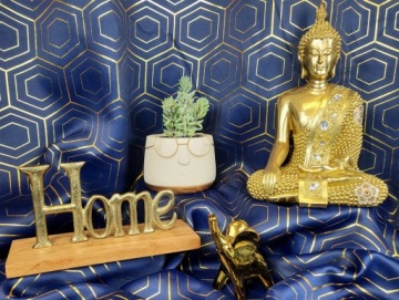 ЗОЛОТОЙ ВИЗОР С ОЧКАМИ FI12H9