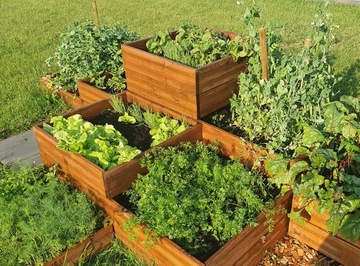 Гербарий, ящик, сад, огород, теплица