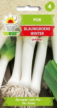 Por Blauwgroene Winter 1g TORAF