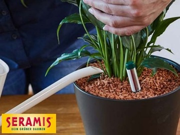 SERAMIS INDICATOR Измеритель влажности основания 26 см 2 шт.