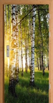 NAKLEJKA FOTOTAPETA na drzwi las brzozowy wschód