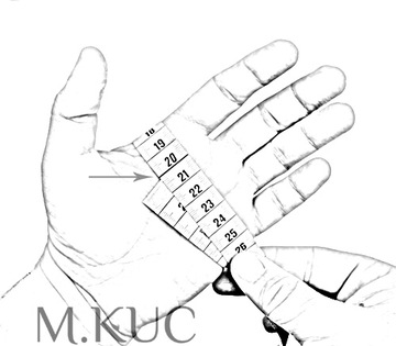 Перчатки польские кожаные, перчатки кавалерийские офицерские, коньячный XL