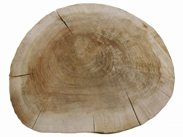 Plaster Topoli 81x71cm Tarcica Topola Krążki DIY