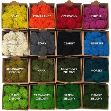 Финский мох 500г нетто, натуральный