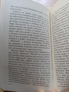 Виарусы. Огненный Курас - Ян Щерковский