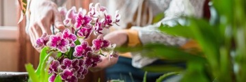 КОНДИЦИОНЕР УДОБРЕНИЯ ОРХИДЕЯ АППЛИКАТОР ORCHID STRONG