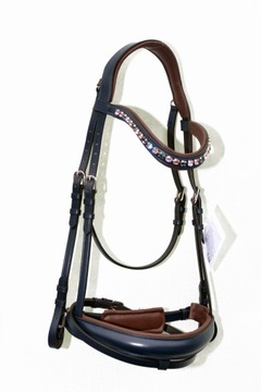 Профилированная анатомическая команда полна