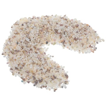 MINI ROŚLINY BIAŁE KAMIENIE