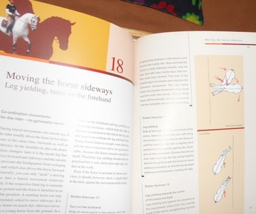 Прокл УЧИМСЯ ЕЗДАТЬ ВЗРОСЛЫМ 2 Верховая езда