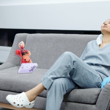 Manekin Anatomia Narządów Model Rysunek Dziecko