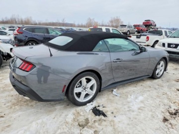 Ford Mustang VI 2026 Ford Mustang 2026 2.3 Benzyna 310KM, zdjęcie 3