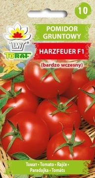 Pomidor gruntowy Toraf Harzfeuer F1 0,3 g odporny na choroby