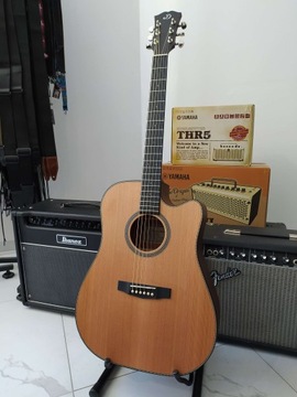 ЭЛЕКТРОАКУСТИЧЕСКАЯ ГИТАРА DOWINA RIESLING DCE