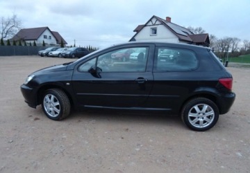 Peugeot 307 I Hatchback 2.0 16V 136KM 2004 Peugeot 307 2.0ben,klima,alu,zarejestrowan 2.0 Benzyna 136KM, zdjęcie 9